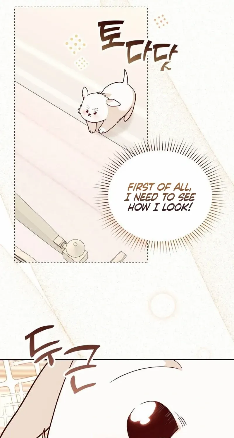 The Emperor’s Dog Chapter 2 page 39 - 