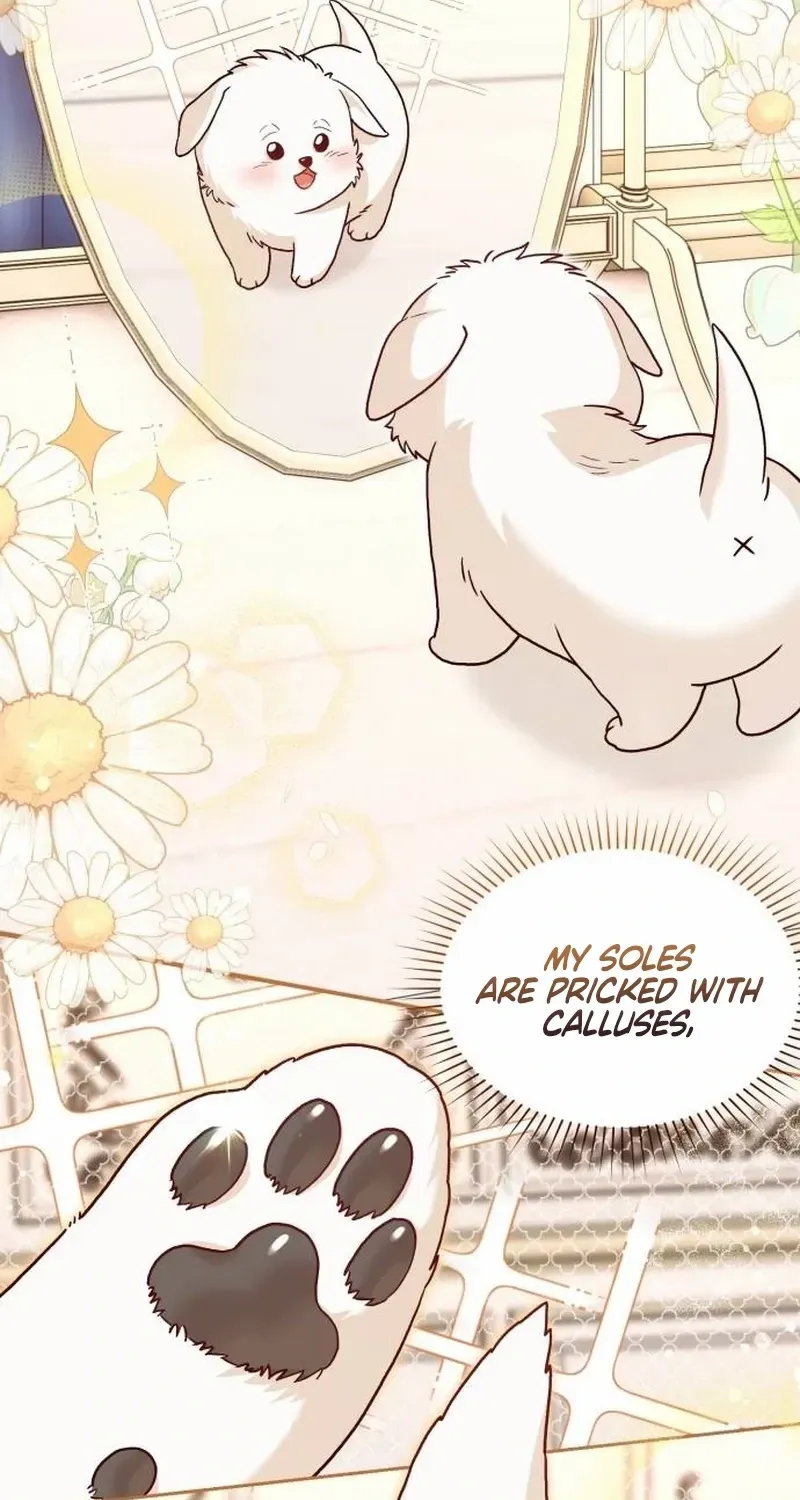 The Emperor’s Dog Chapter 2 page 41 - 