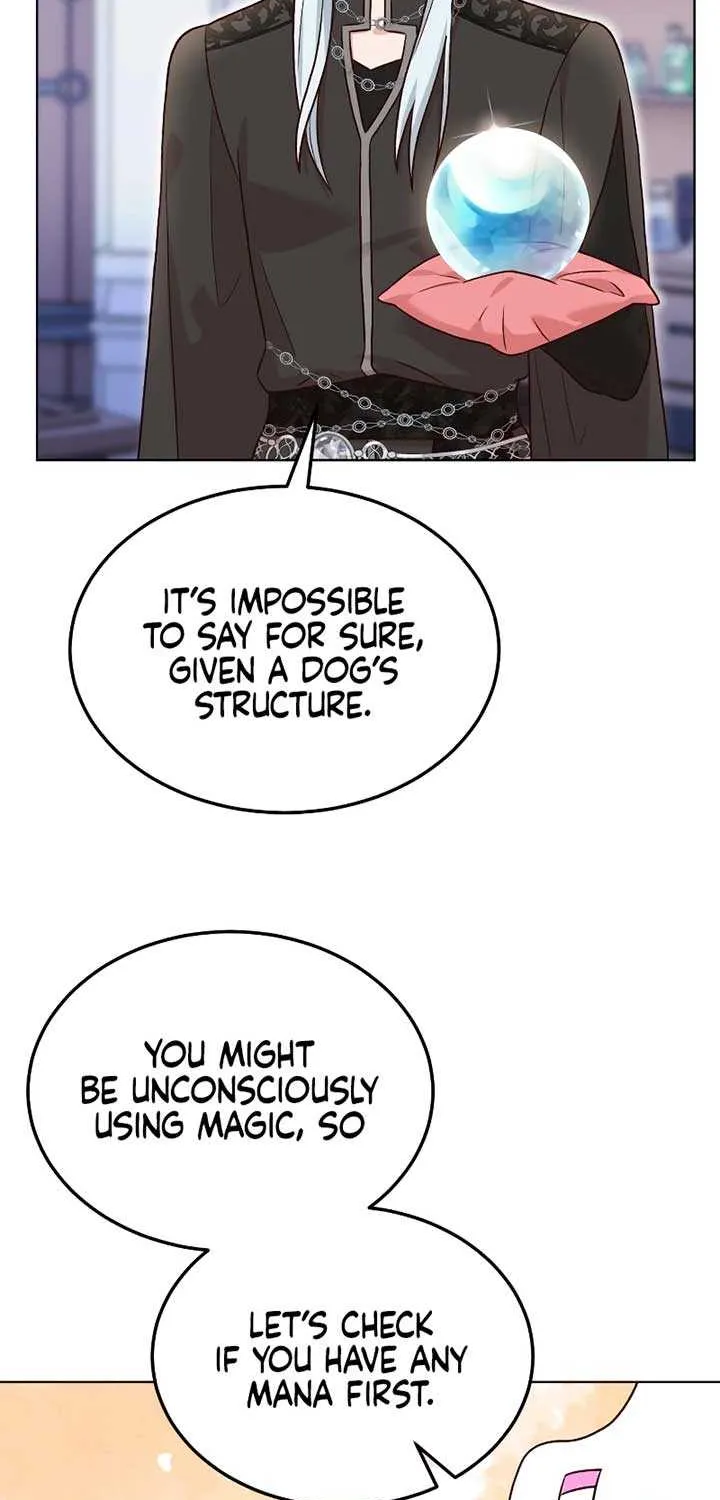 The Emperor’s Dog Chapter 20 page 27 - 