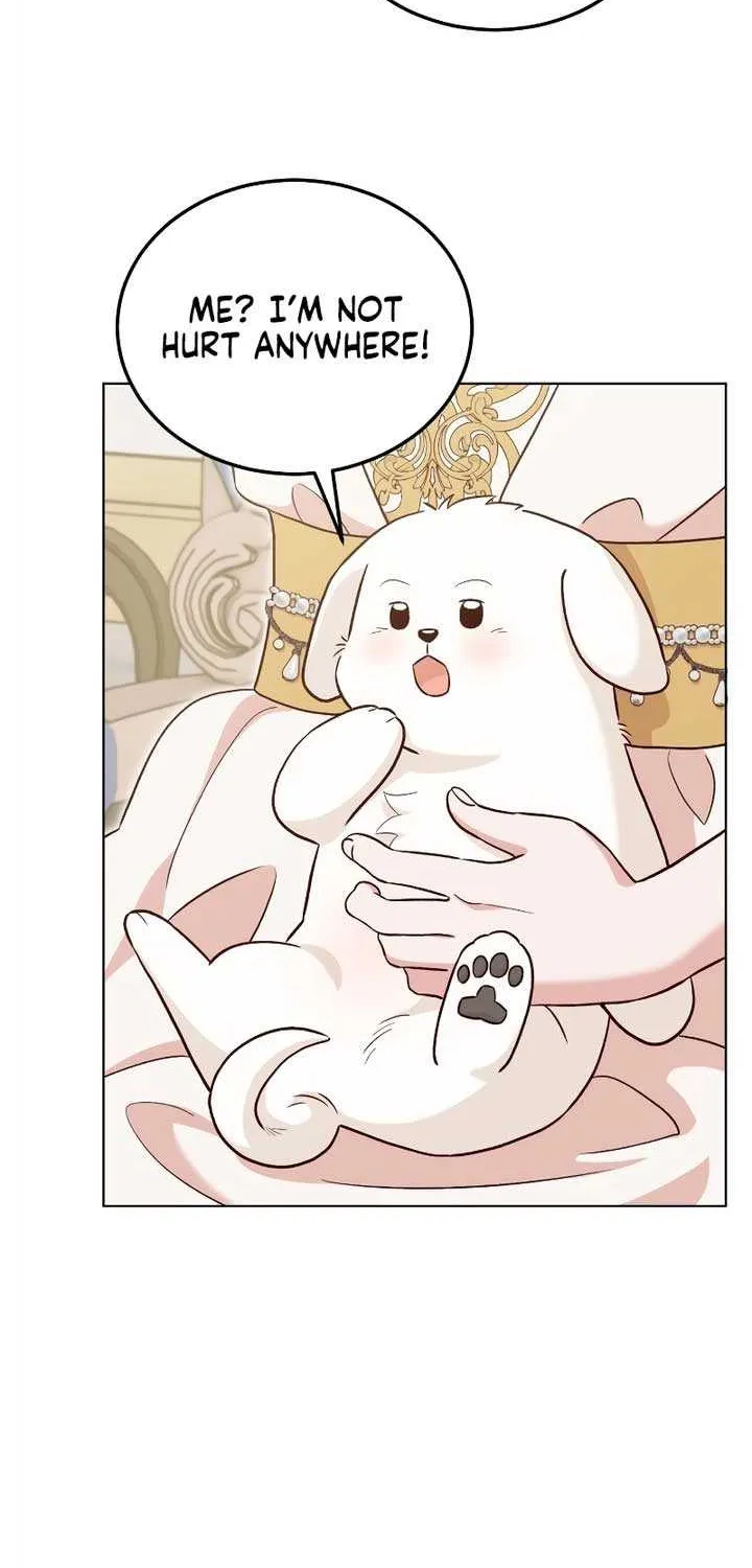 The Emperor’s Dog Chapter 21 page 51 - 