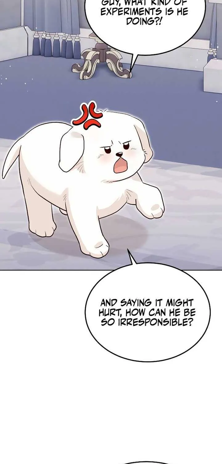 The Emperor’s Dog Chapter 22 page 48 - 