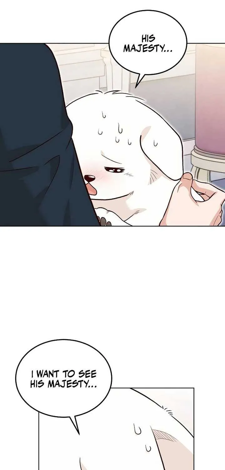 The Emperor’s Dog Chapter 22 page 62 - 