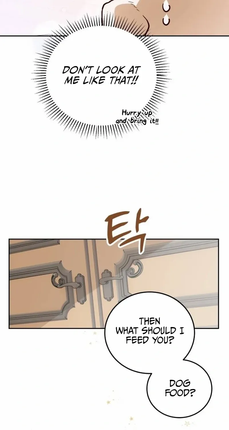 The Emperor’s Dog Chapter 3 page 13 - 