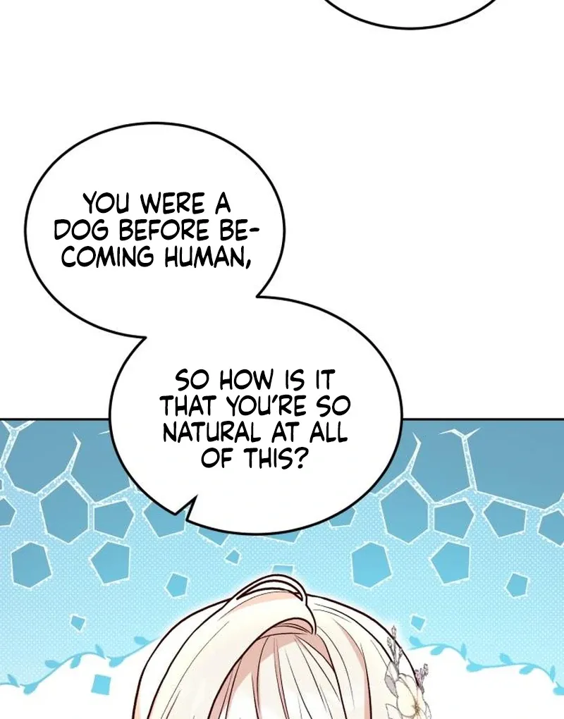 The Emperor’s Dog Chapter 30 page 43 - 
