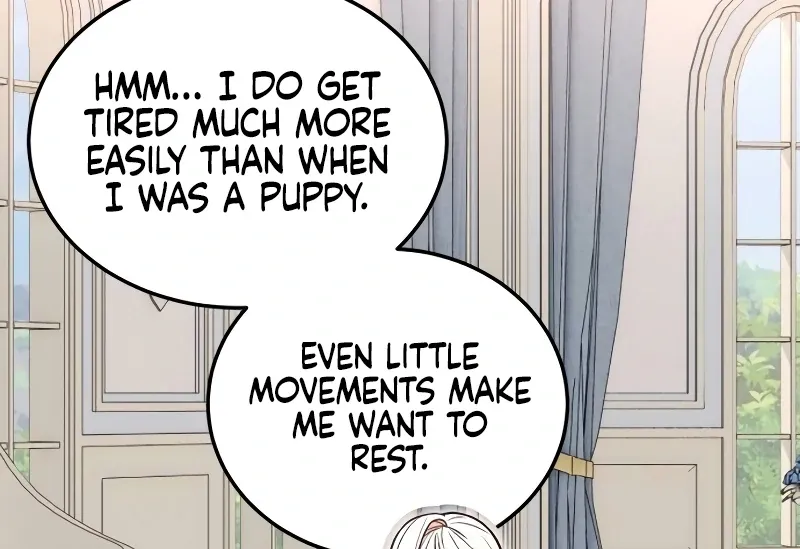The Emperor’s Dog Chapter 31 page 12 - 
