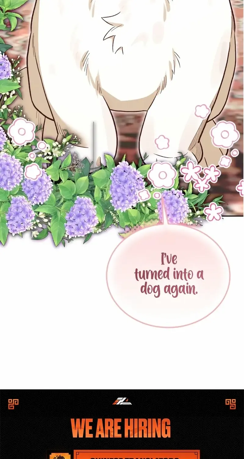 The Emperor’s Dog Chapter 39 page 101 - 