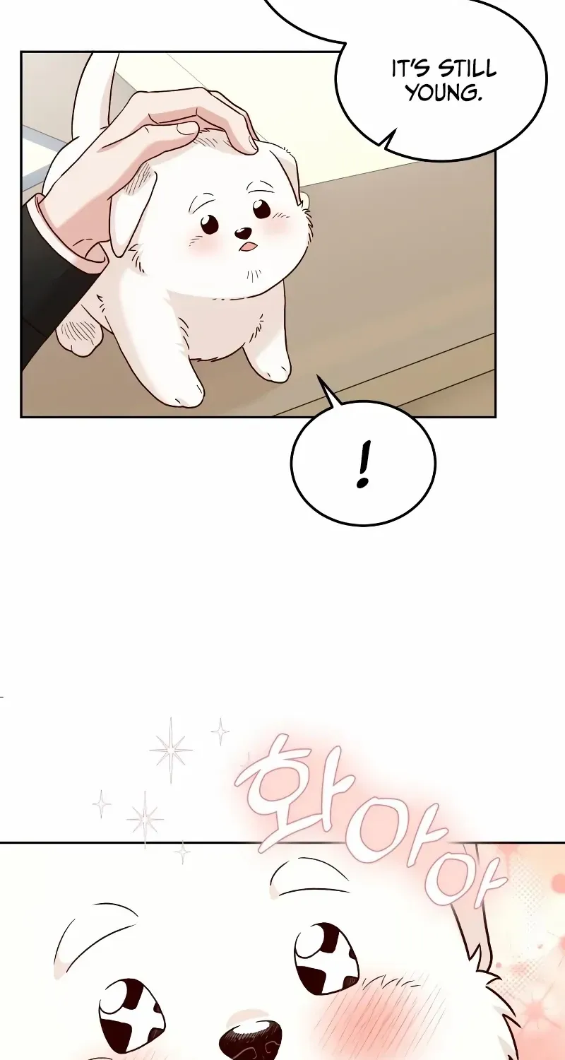 The Emperor’s Dog Chapter 4 page 34 - 