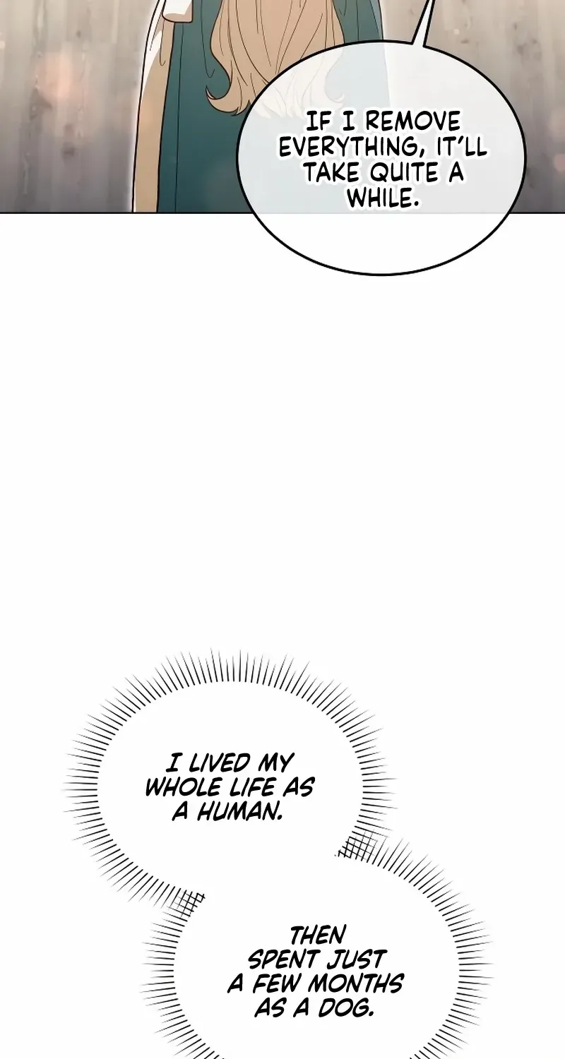 The Emperor’s Dog Chapter 40 page 43 - 