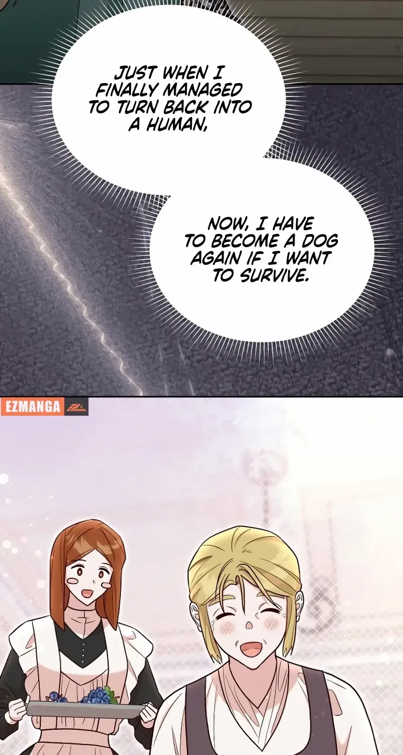 The Emperor’s Dog Chapter 40 page 45 - 