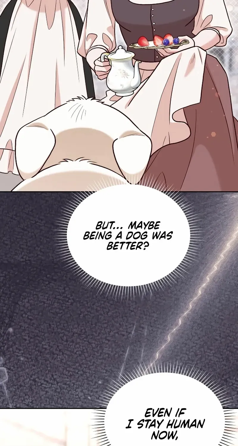 The Emperor’s Dog Chapter 40 page 46 - 