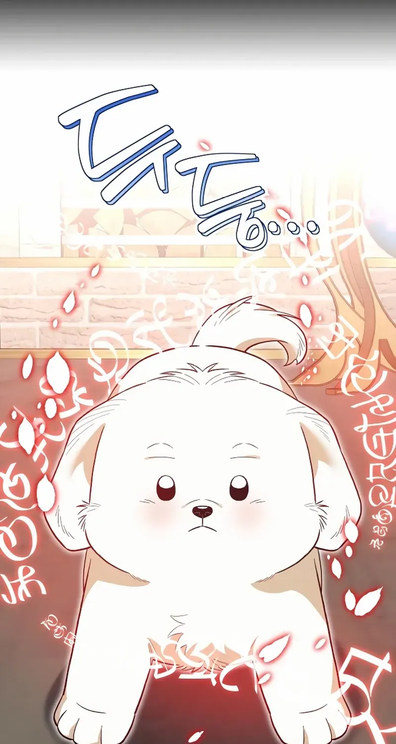 The Emperor’s Dog Chapter 40 page 62 - 