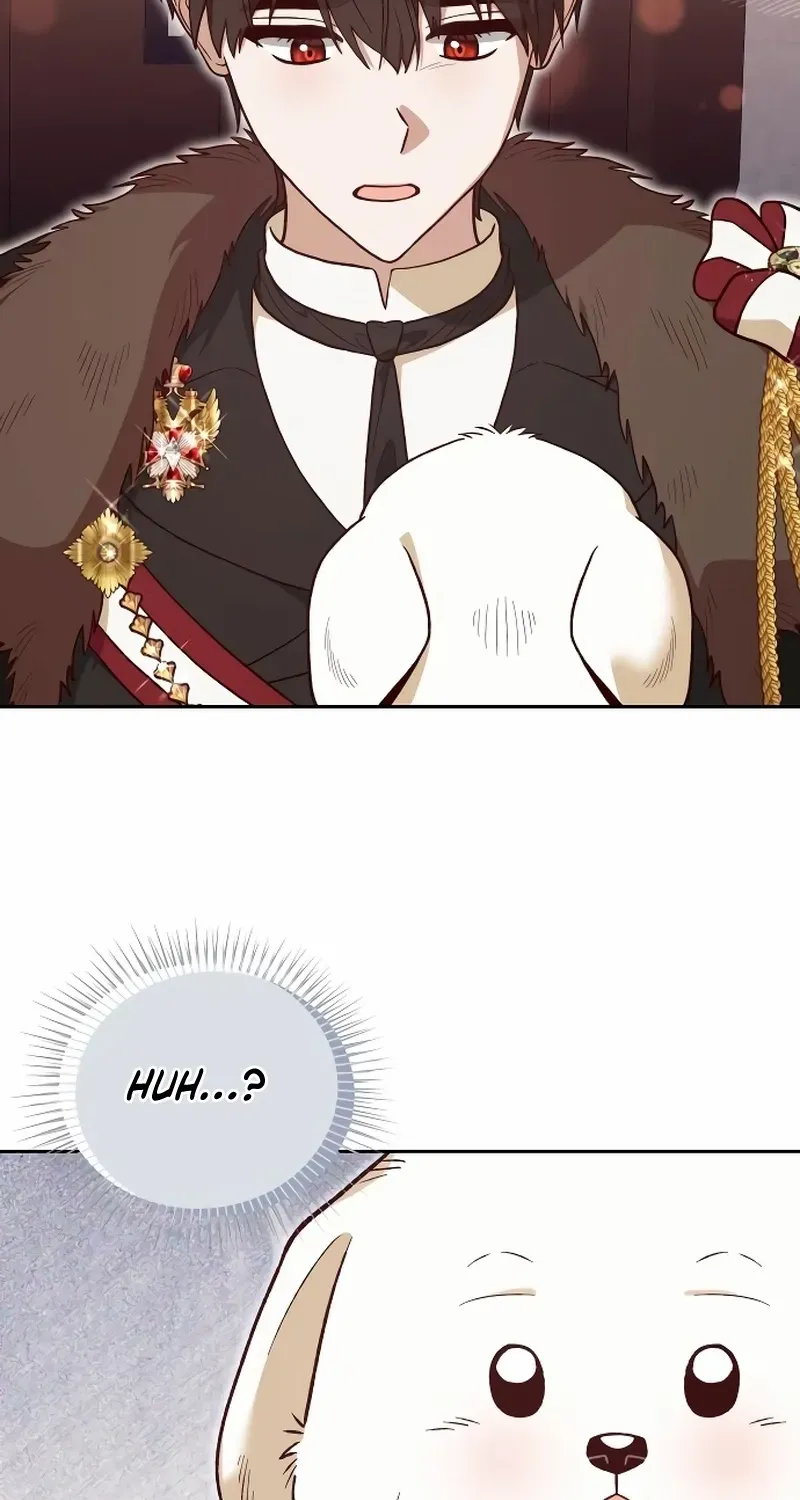 The Emperor’s Dog Chapter 41 page 2 - 