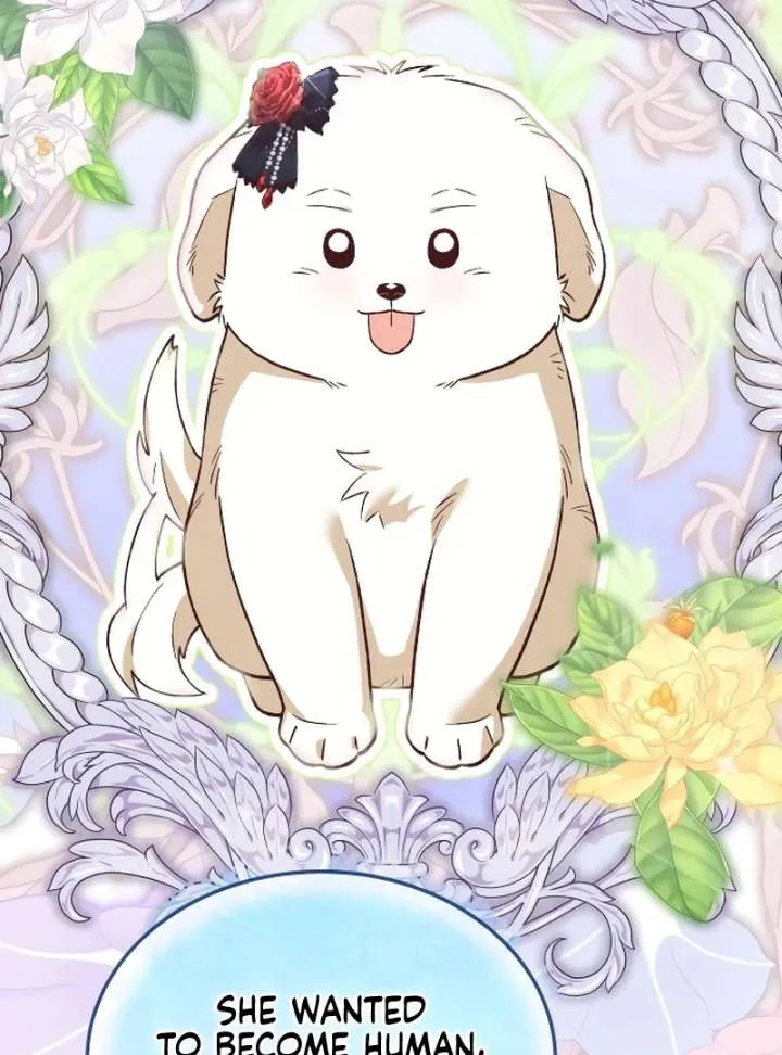 The Emperor’s Dog Chapter 42 page 31 - 
