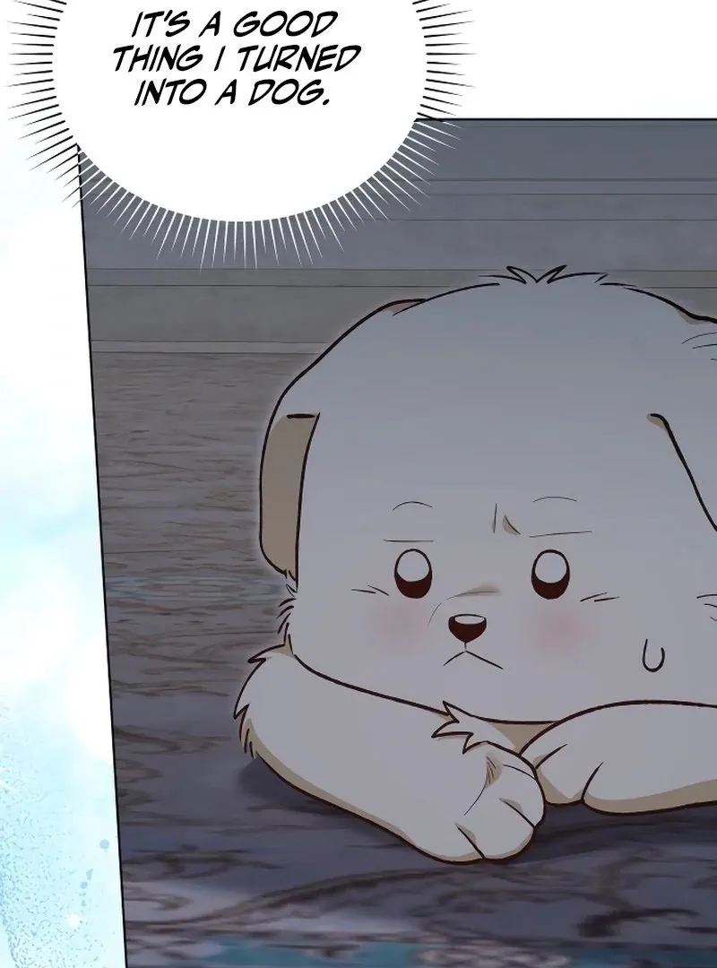 The Emperor’s Dog Chapter 45 page 18 - 