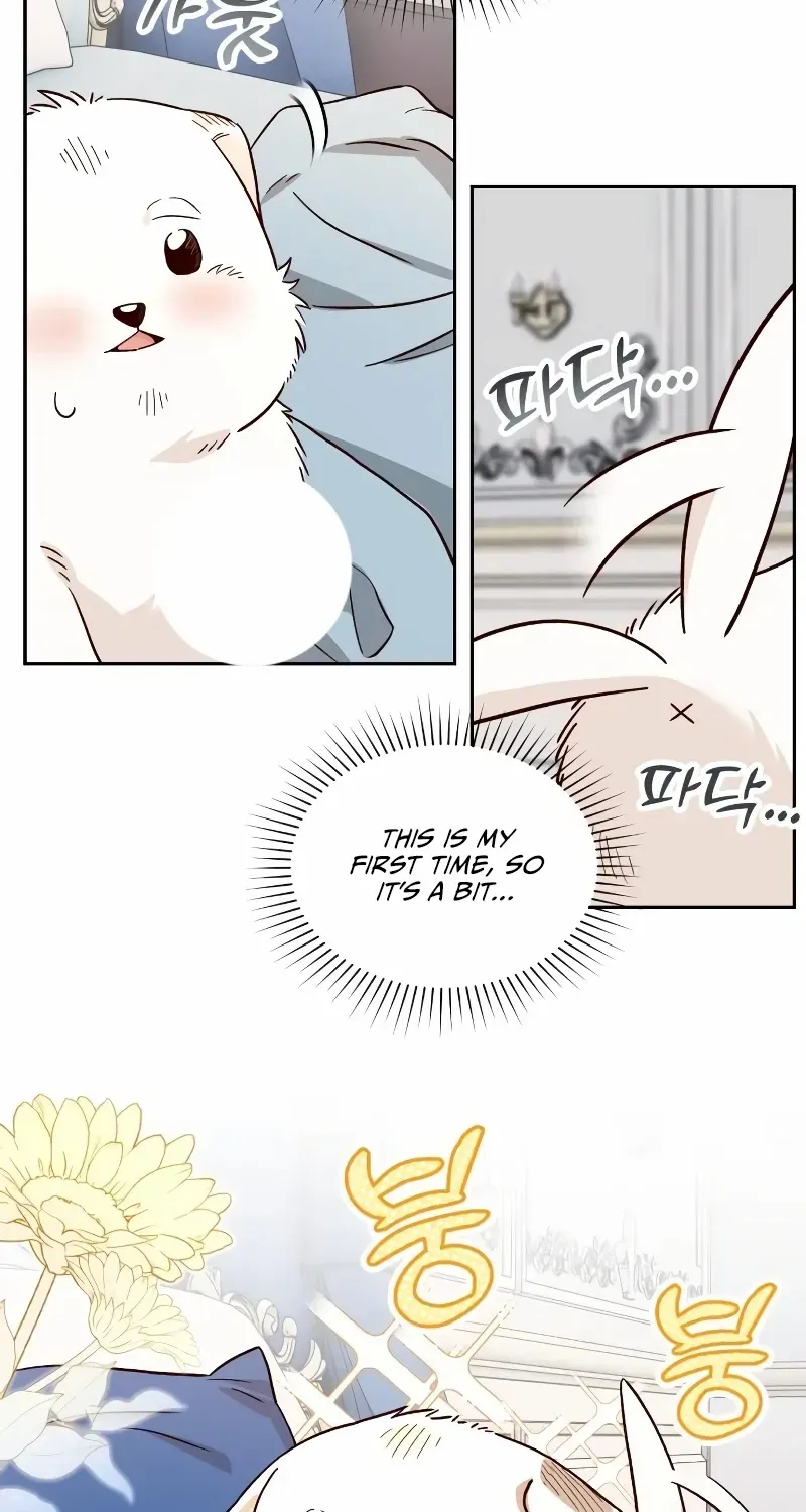 The Emperor’s Dog Chapter 5 page 6 - 