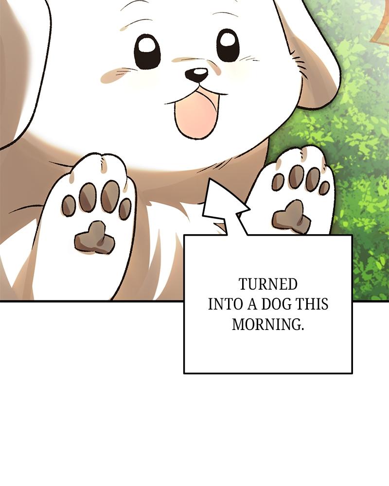 The Emperor’s Dog Chapter 52 page 74 - 
