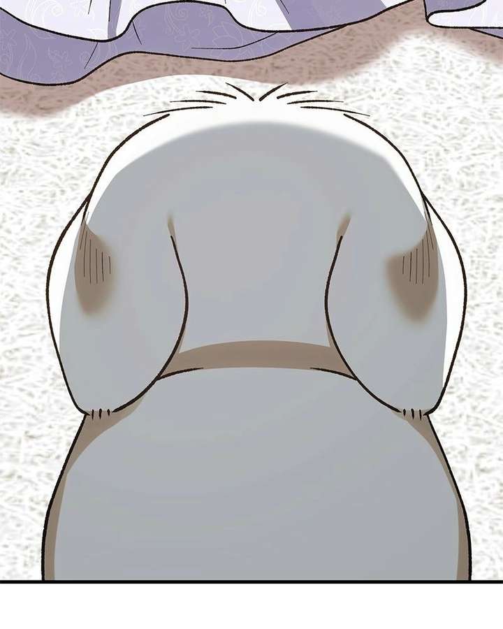 The Emperor’s Dog Chapter 53 page 71 - 
