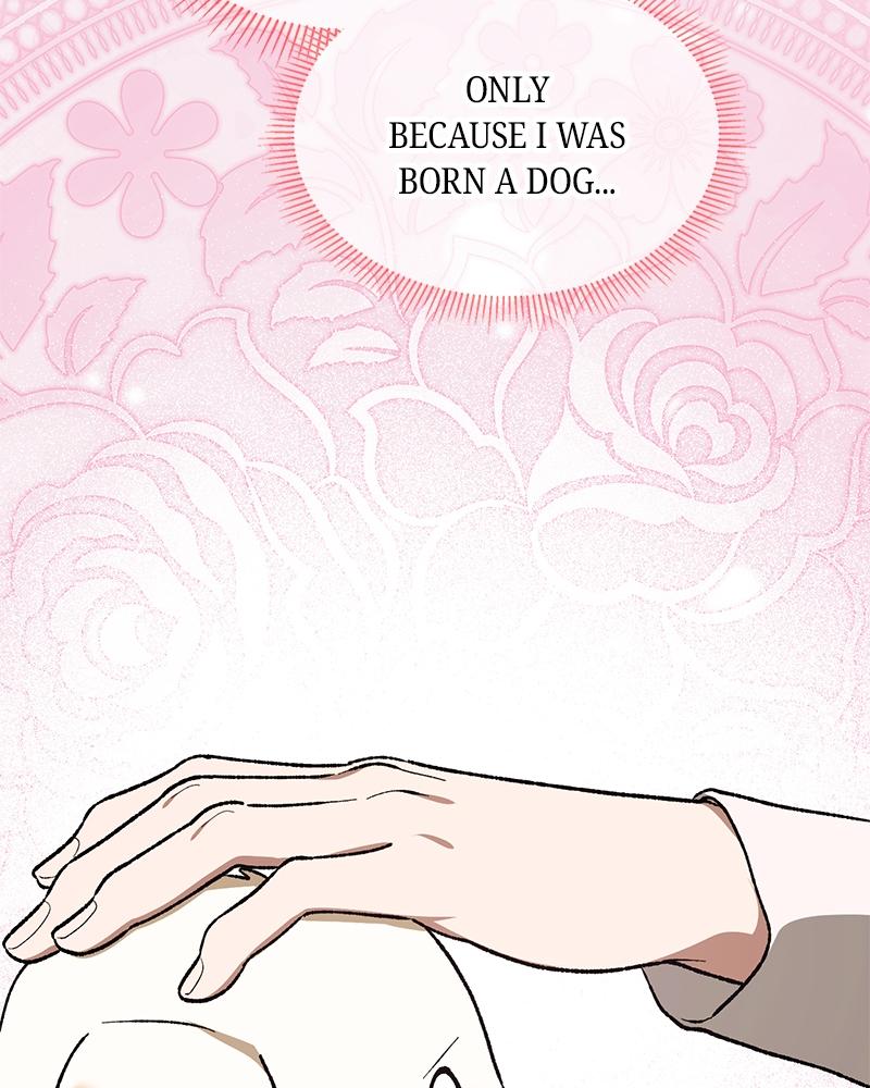 The Emperor’s Dog Chapter 54 page 45 - 