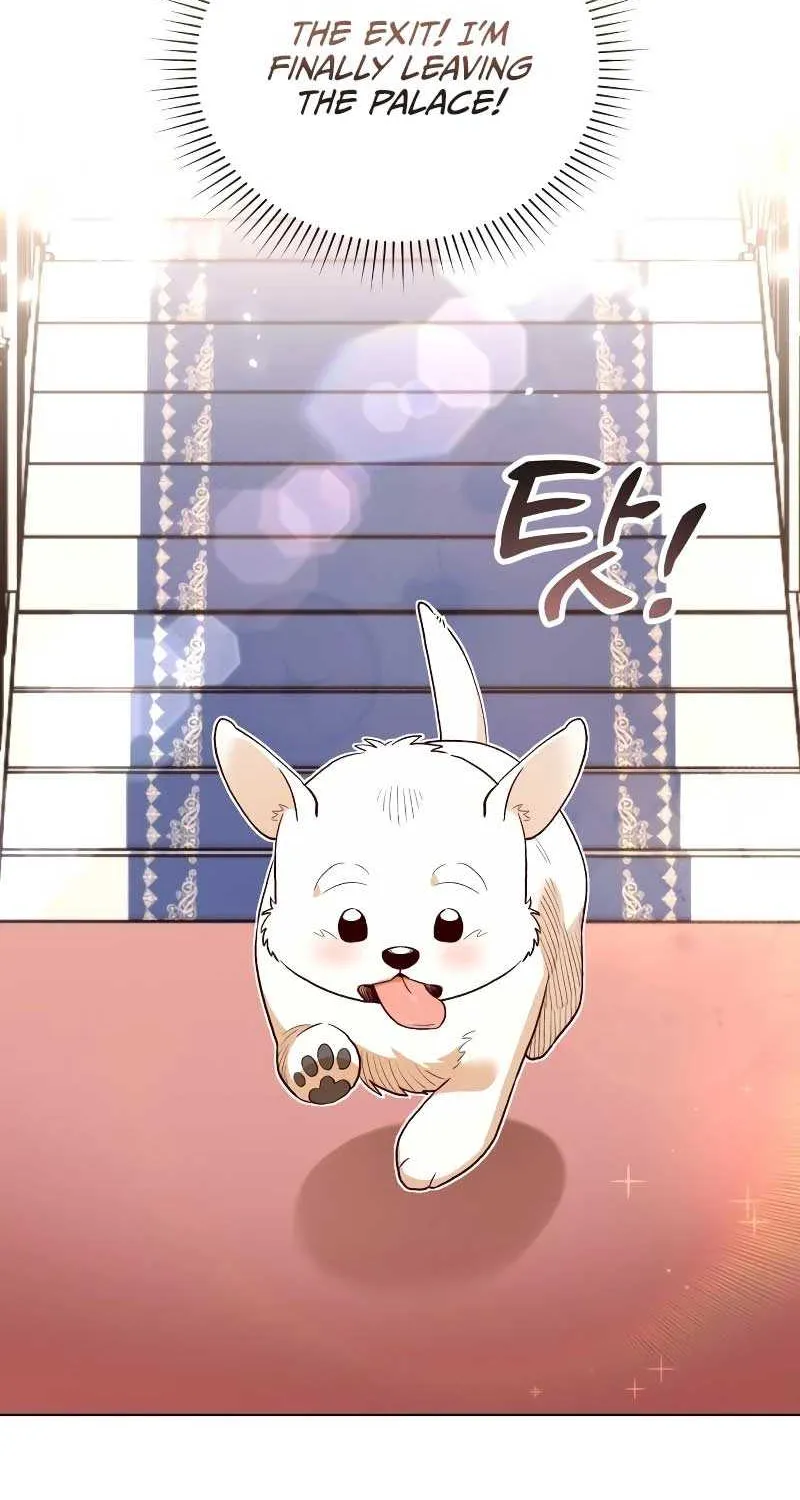 The Emperor’s Dog Chapter 6 page 16 - 