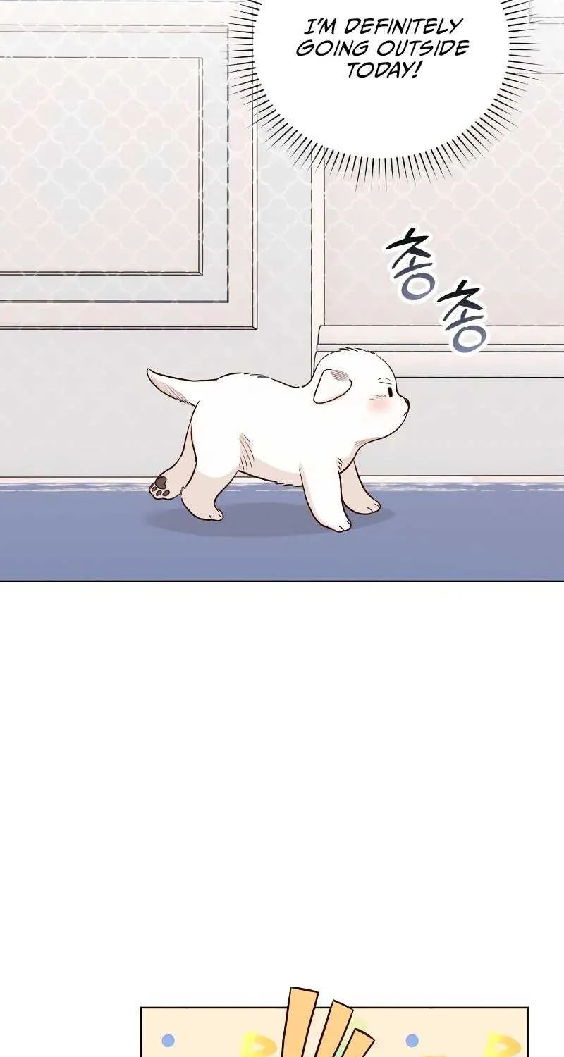 The Emperor’s Dog Chapter 6 page 3 - 