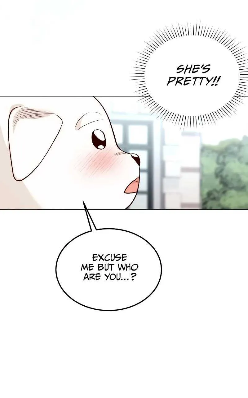 The Emperor’s Dog Chapter 6 page 24 - 