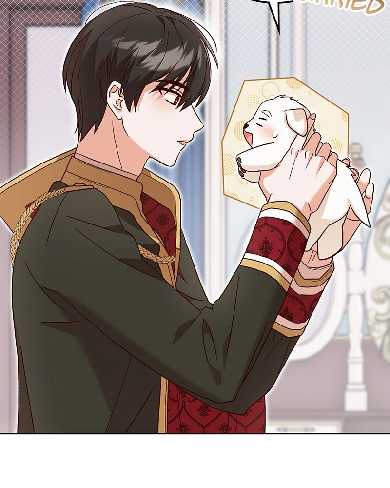 The Emperor