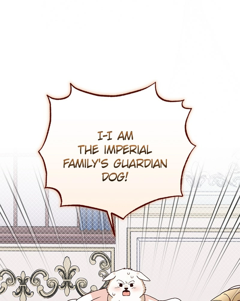 The Emperor