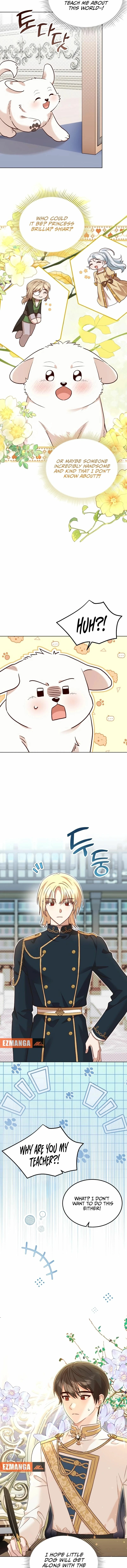 The Emperor