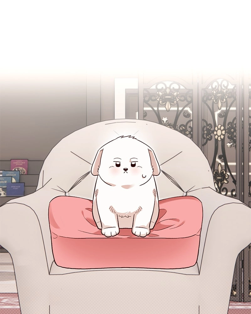 The Emperor