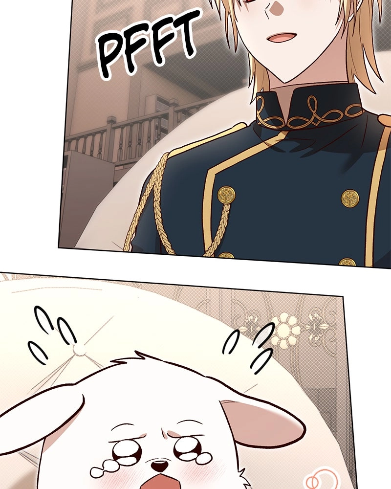 The Emperor
