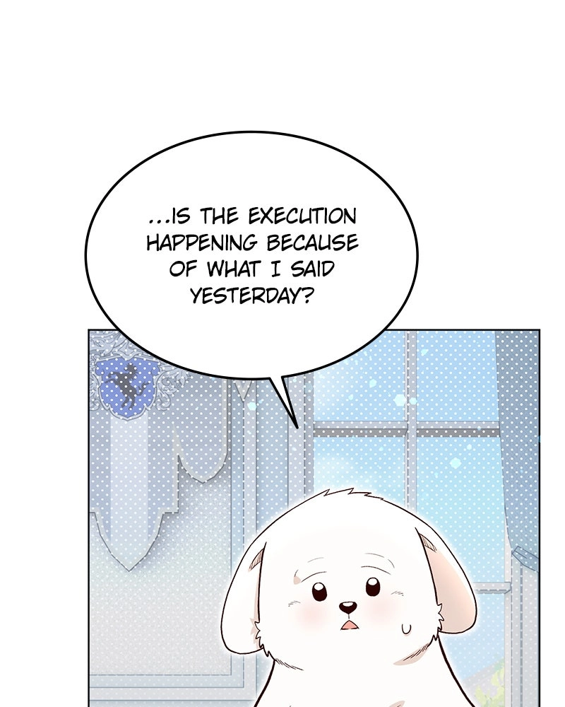 The Emperor