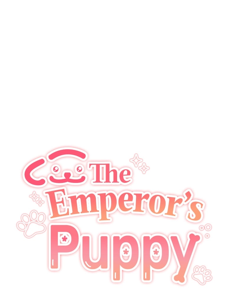The Emperor
