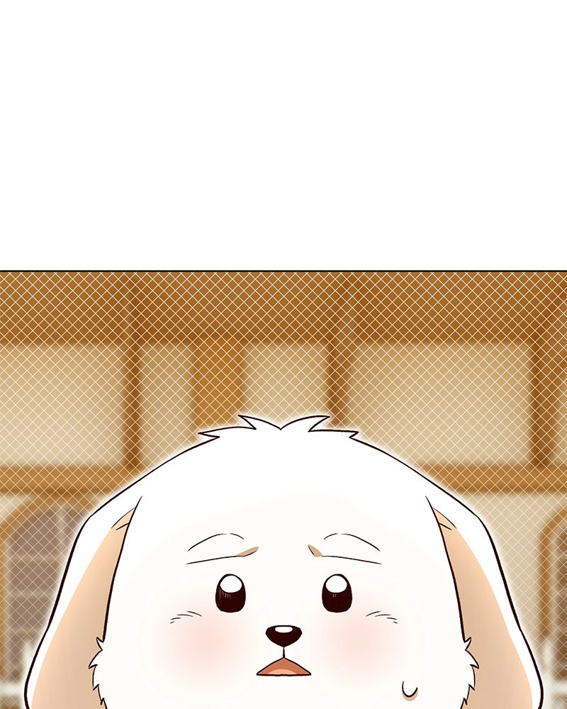 The Emperor