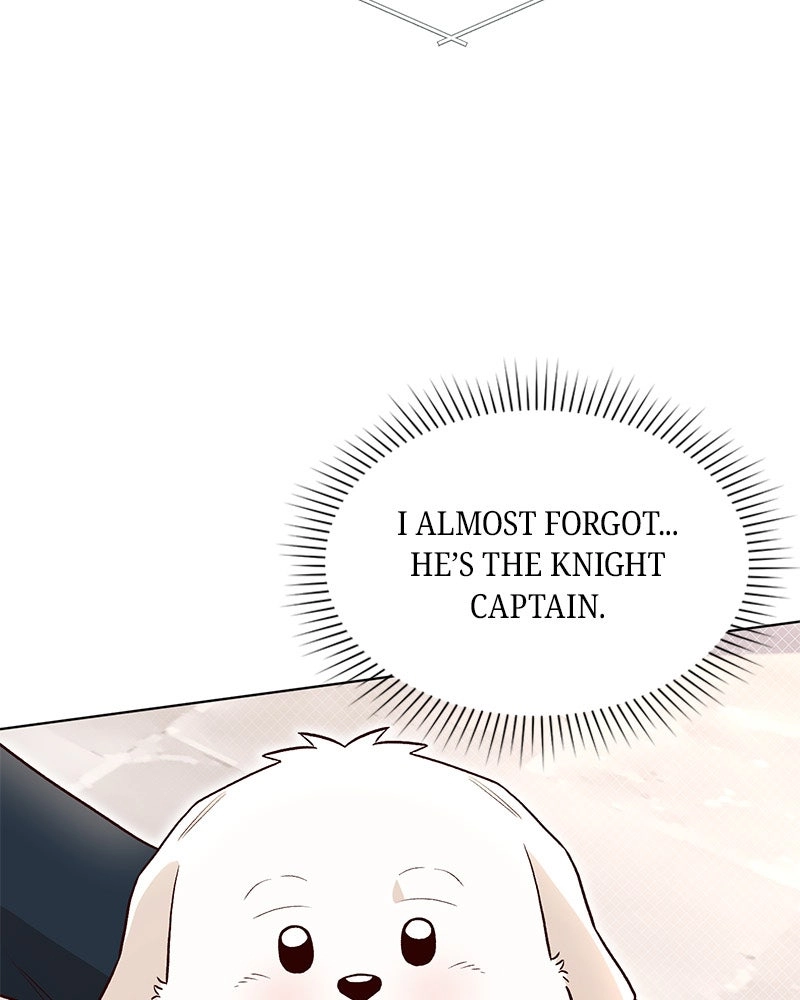 The Emperor