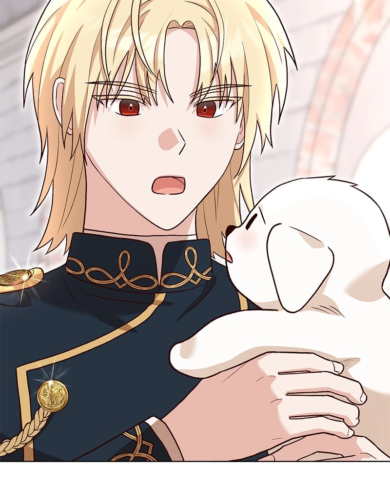 The Emperor