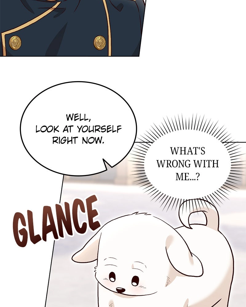The Emperor