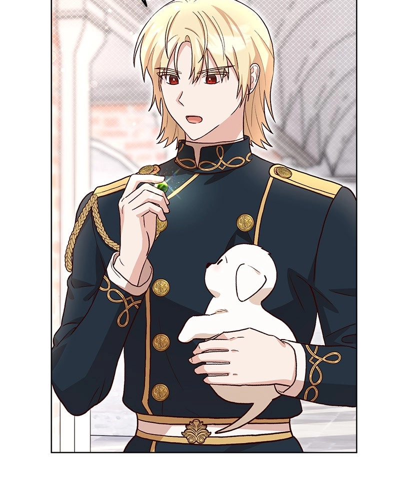 The Emperor