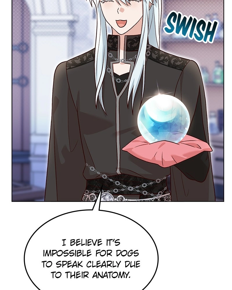 The Emperor