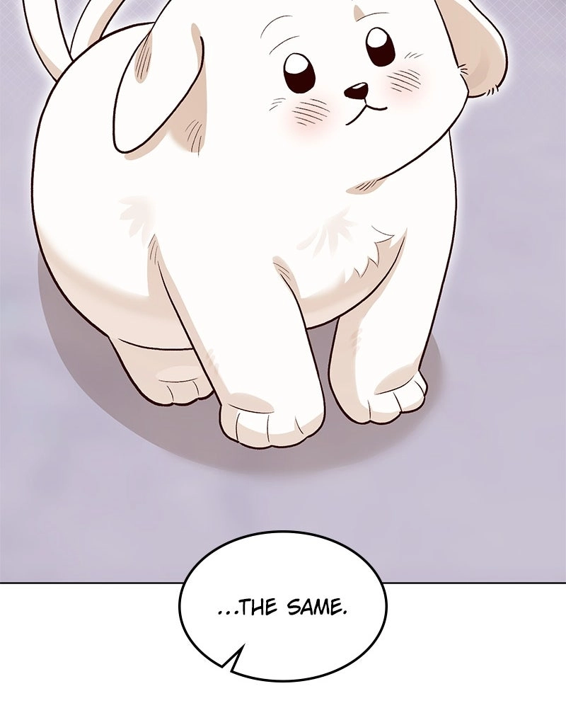 The Emperor
