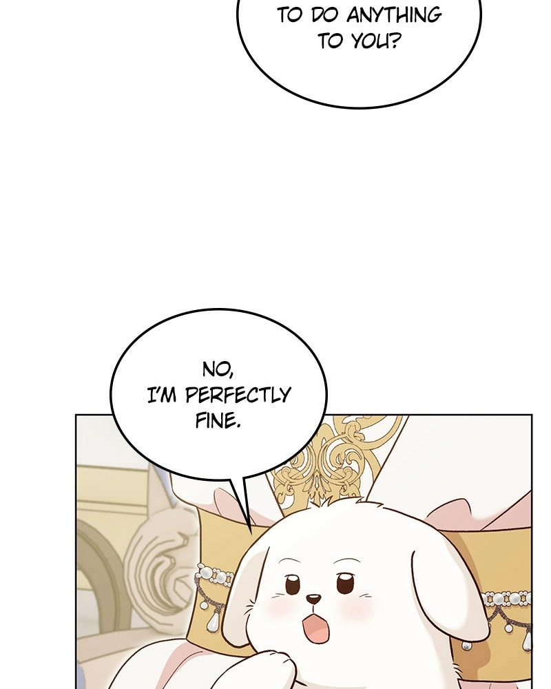 The Emperor