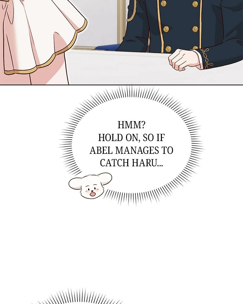 The Emperor