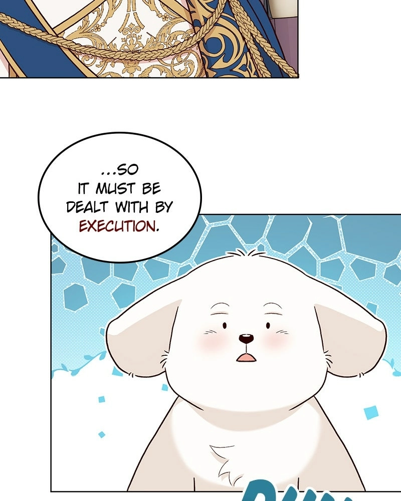 The Emperor