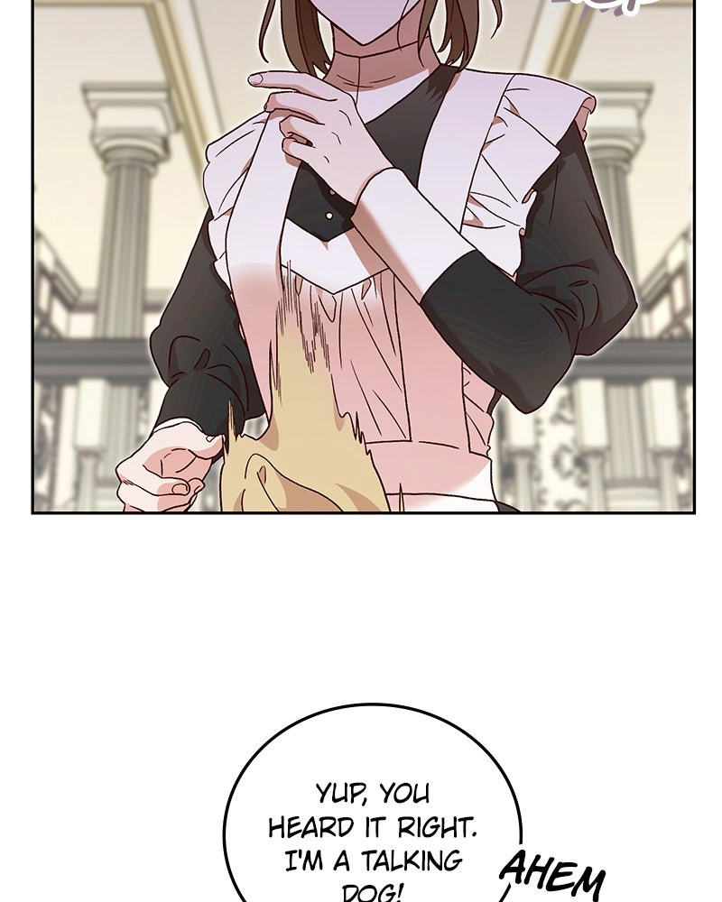 The Emperor