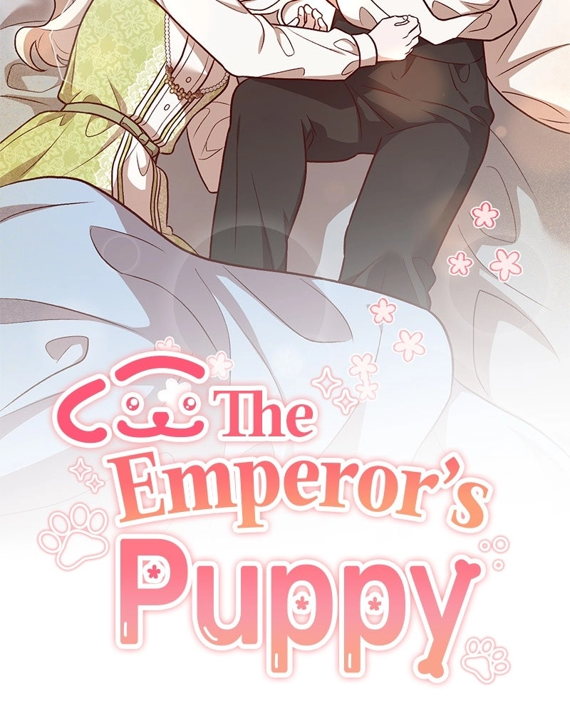 The Emperor