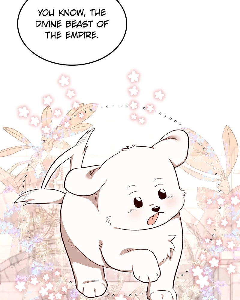 The Emperor