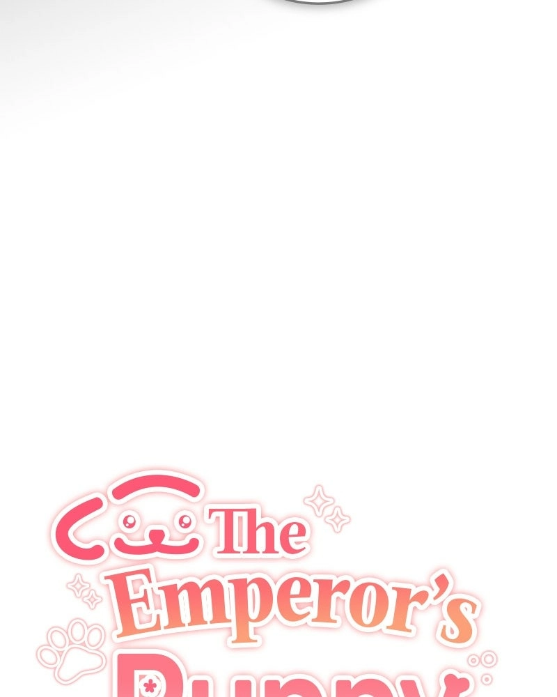 The Emperor