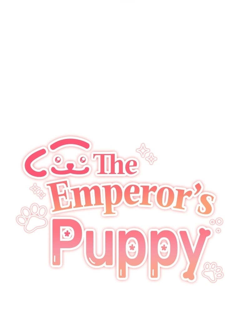 The Emperor