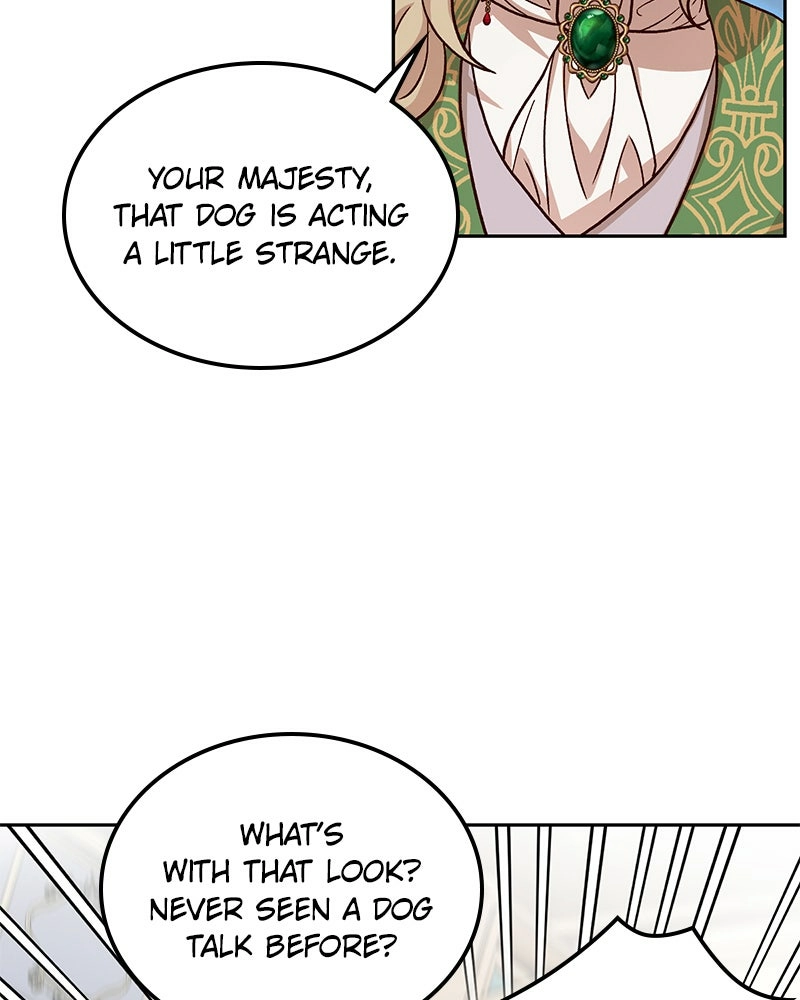 The Emperor