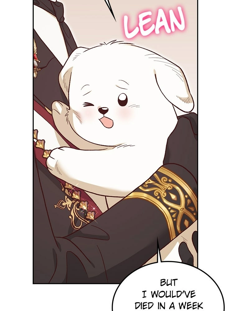 The Emperor