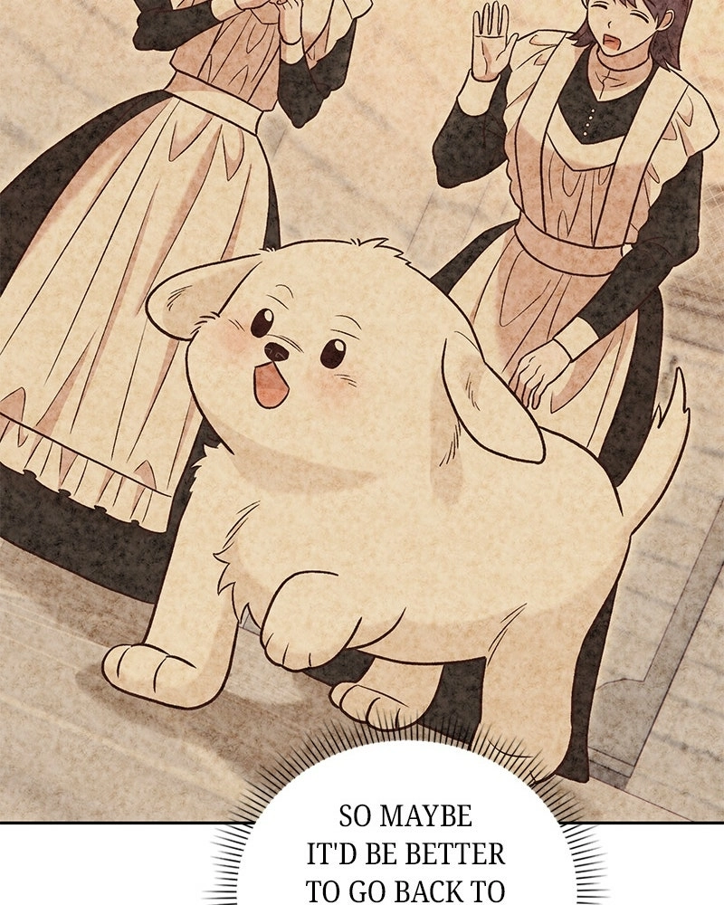 The Emperor